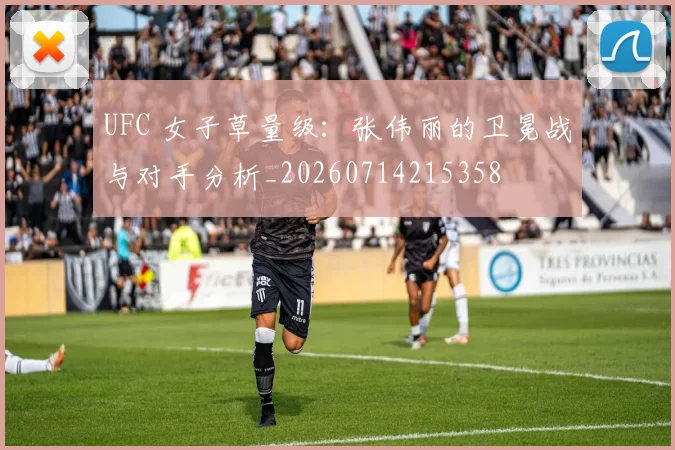 UFC 女子草量级:张伟丽的卫冕战与对手分析_20260714215358