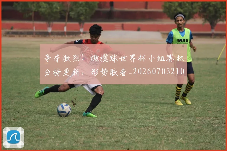 争夺激烈！橄榄球世界杯小组赛积分榜更新，形势胶着_20260703210721_20260716192802