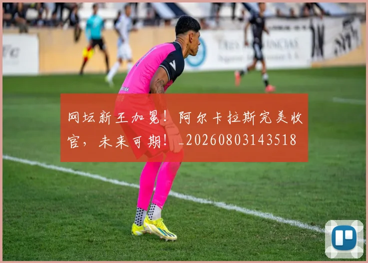 网坛新王加冕!阿尔卡拉斯完美收官,未来可期!_20260803143518